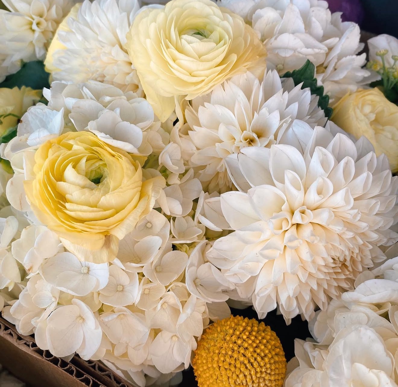 Beautiful arrangement of white and yellow flowers including ranunculus, dahlias, and chrysanthemums by Rebecca Honig Design